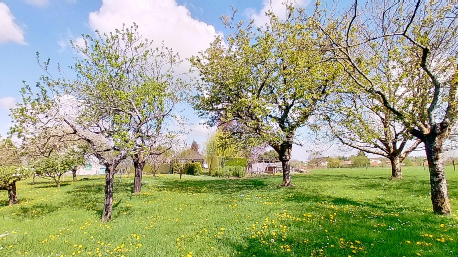 Image_, Maison, Behonne, ref :6567