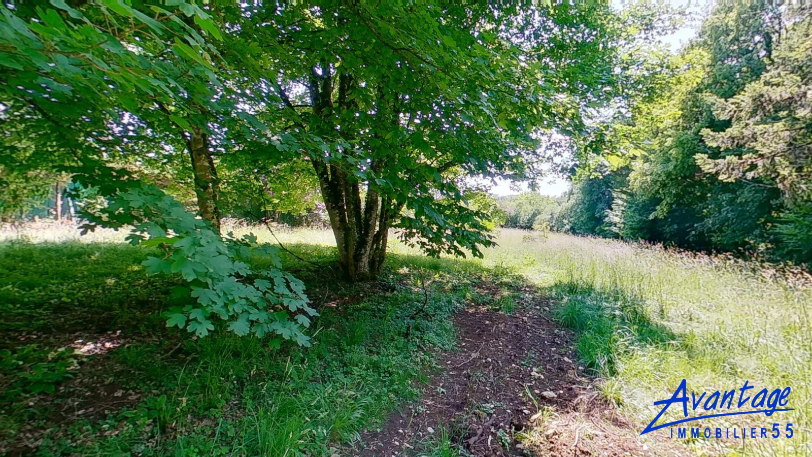 Image_, Terrain, Bar-le-Duc, ref :6524