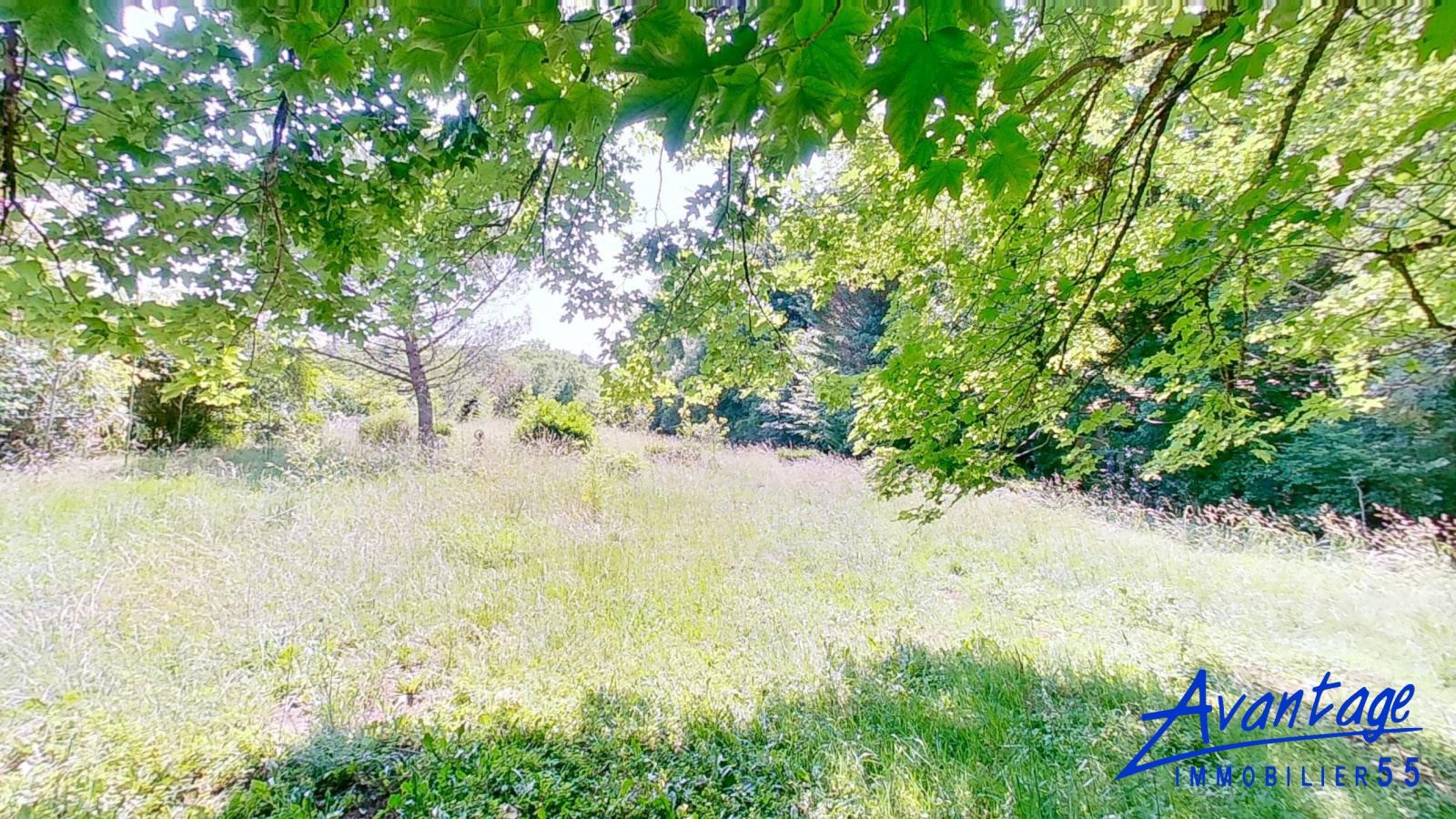 Image_, Terrain, Bar-le-Duc, ref :6524