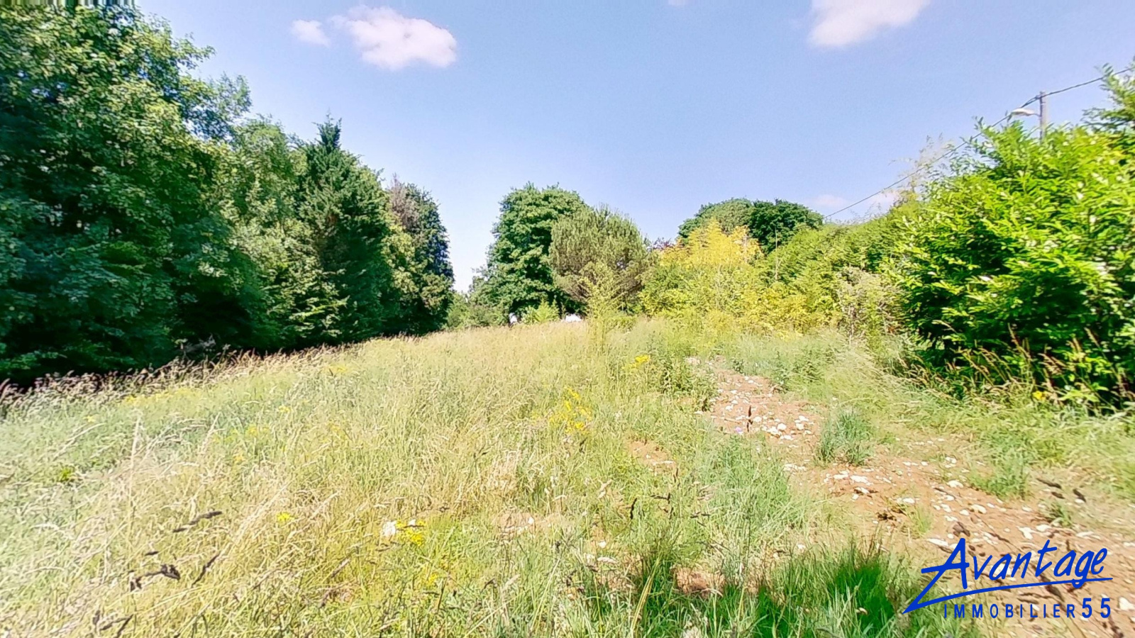 Image_, Terrain, Bar-le-Duc, ref :6524