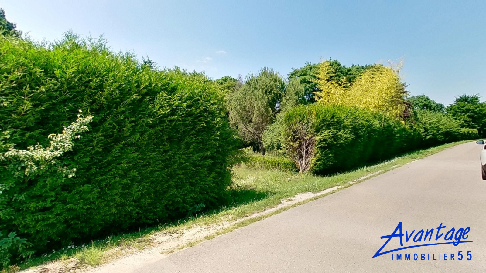 Image_, Terrain, Bar-le-Duc, ref :6524