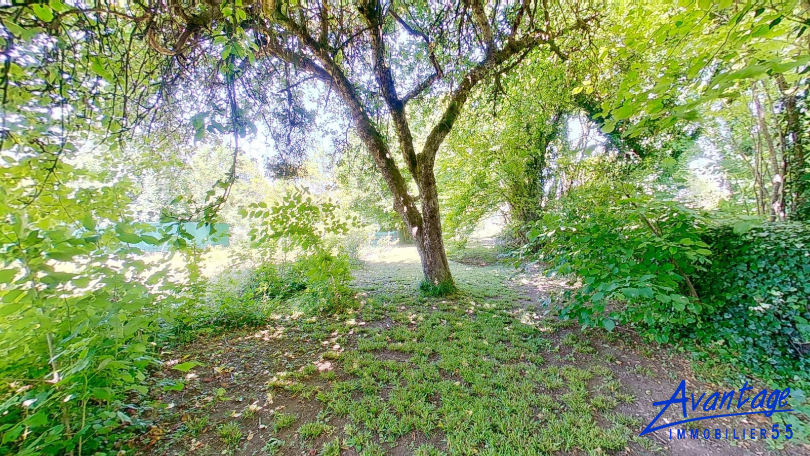 Image_, Maison de village, Tronville-en-Barrois, ref :6518